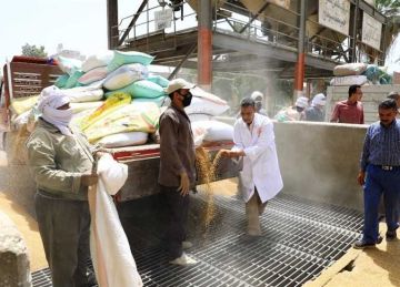 محافظ سوهاج: توريد 130 ألف طن قمح بالمحافظة وصرف 1.78 مليار جنيه للمزارعين