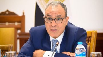 مصر تؤكد دعمها للأمم المتحدة وتدين تجويع غزة والغارات الإسرائيلية على دمشق