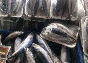 ضبط 1.2 طن أسماك مجمدة ولحوم مفرومة مجهولة المصدر في حملات بالشرقية