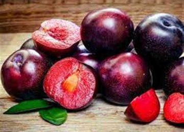 ماذا يحدث لجسمك عند تناول البرقوق؟.. 6 فوائد غير متوقعة ماذا يحدث لجسمك عند تناول البرقوق؟.. 6 فوائد غير متوقعة