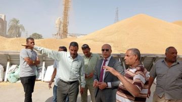 منذ انطلاق الموسم.. توريد 18 0ألف طن قمح للمواقع التخزينية بقنا