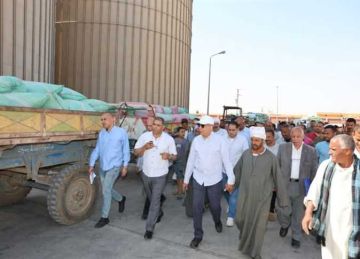 توريد 249 ألف طن قمح لشون وصوامع المنيا