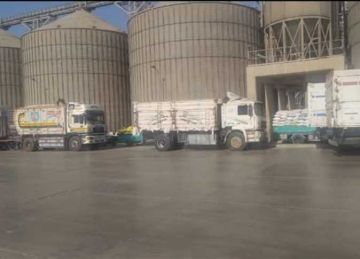 صوامع وشون الشرقية تستقبل 420 ألف طن قمح من المزارعين