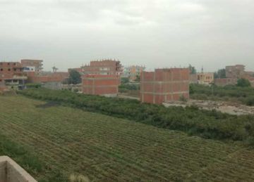 أمطار متقطعة وغيوم ورياح.. طقس متقلب على القليوبية اليوم