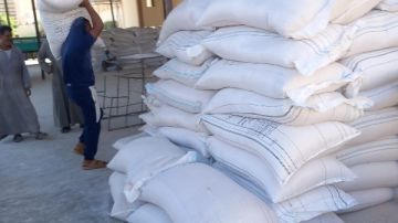 تموين قنا: توفير لحوم بأسعار مخفضة ضمن استعدادات استقبال عيد الأضحى