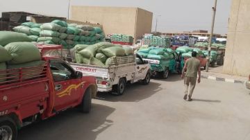 توريد 435 ألف طن قمح لصوامع المنيا
