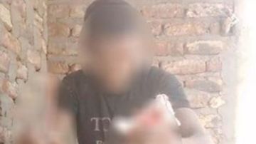 جرح قطة بسلاح أبيض.. المتهم يواجه الحبس 6 أشهر وغرامة طبقا للقانون