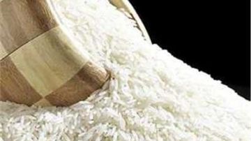 لرفع إنتاجية المحصول.. تطبيق التقنيات الحديثة لزراعة الأرز آليا لرفع إنتاجية المحصول.. تطبيق التقنيات الحديثة لزراعة الأرز آليا