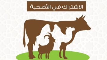 هل يجوز الاشتراك في الأضحية؟.. الأزهر للفتوى يوضح الضوابط الشرعية هل يجوز الاشتراك في الأضحية؟.. الأزهر للفتوى يوضح الضوابط الشرعية