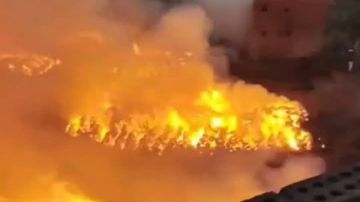 حريق كتان الغربية يحول الليل إلى نهار.. النيران تبتلع 1000 فدان وتصيب 17 شخصا صور