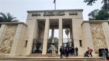 هل يوجد زيادة في سعر تذكرة حديقة الحيوان بالجيزة 2025 بعد التطوير