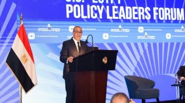 وزير الخارجية: انتظام حركة الملاحة بالبحر الأحمر وقناة السويس يخدم الاقتصاد العالمي