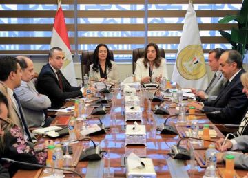 التنمية المحلية و التضامن تبحثان التعاون في دعم المشروع القومي أيادي مصر التنمية المحلية و التضامن تبحثان التعاون في دعم المشروع القومي أيادي مصر