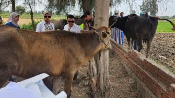 الزراعة تطلق قوافل بيطرية مجانية في قرى 10 محافظات