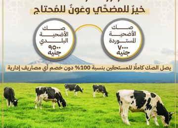 المستورد بـ 7000 جنيه والبلدي بـ9.500.. بدء حملة صكوك الأضاحي لعام 2025 (تفاصيل)