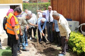 نقيب الزراعيين: التوسع في زراعة الأشجار المثمرة داخل المدارس ومراكز الشباب والمكتبات العامة