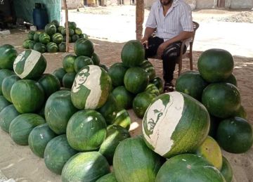 بعد انخفاض سعرها لـ75 جنيها.. نحت صور الفنانين على البطيخ للترويج في المنيا (فيديو وصور) بعد انخفاض سعرها لـ75 جنيها.. نحت صور الفنانين على البطيخ للترويج في المنيا (فيديو وصور)