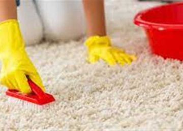 استعدادا لعيد الأضحى.. خطوات سهلة لتنظيف السجاد في المنزل بفعالية