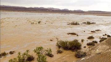 وزير الري يتابع موقف الأمطار والسيول التي تعرضت لها شبه جزيرة سيناء