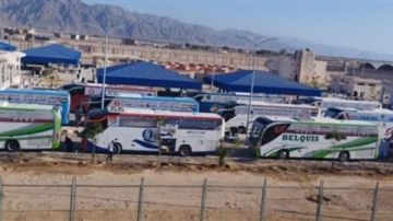 انتهاء تفويج الحج البري من ميناء نويبع بإجمالي 7701 حاج و180 باصا انتهاء تفويج الحج البري من ميناء نويبع بإجمالي 7701 حاج و180 باصا