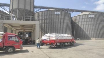 توريد 369 ألف طن قمح للشون والصوامع بالوادي الجديد توريد 369 ألف طن قمح للشون والصوامع بالوادي الجديد