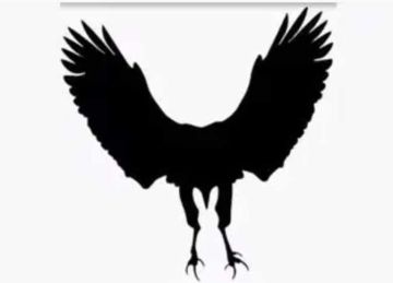 أرنب أم نسر؟.. ما رأيته أولا يكشف أهم مخاوفك في الحياة