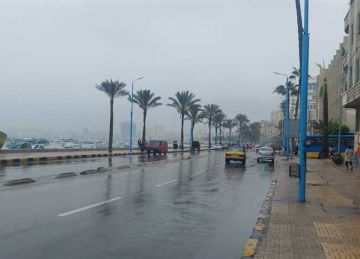  لا أضرار من العاصفة الثلجية .. أول تعليق من مدير مستشفيات جامعة الإسكندرية