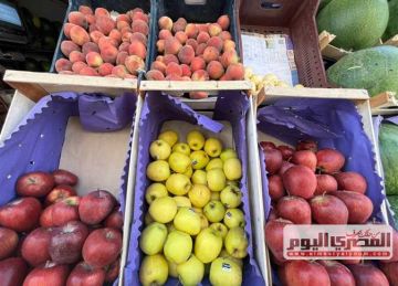 أسعار الفاكهة في أسواق مرسى مطروح الخميس 22 مايو 2025