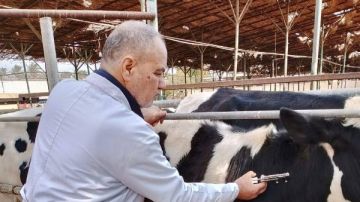 الزراعة : رصد الأمراض الوبائية الحيوانية والتغطية لتحصينات البروسيلا والسل خلال أبريل الزراعة : رصد الأمراض الوبائية الحيوانية والتغطية لتحصينات البروسيلا والسل خلال أبريل