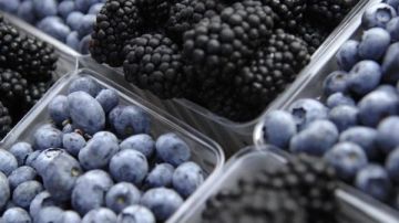 سلاح طبيعي لمحاربة الأمراض.. اكتشفي قوة التوت المثلج