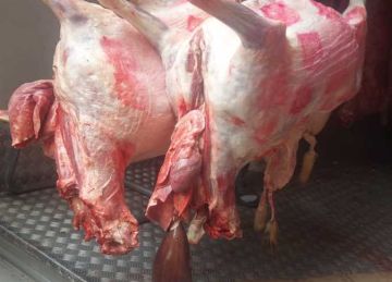 ضبط ربع طن لحوم ودواجن فاسدة بالمنوفية.. وحملات مكثفة على الأسواق ضبط ربع طن لحوم ودواجن فاسدة بالمنوفية.. وحملات مكثفة على الأسواق