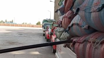 شون وصوامع المنيا تستقبل 330 ألف طن من محصول القمح شون وصوامع المنيا تستقبل 330 ألف طن من محصول القمح