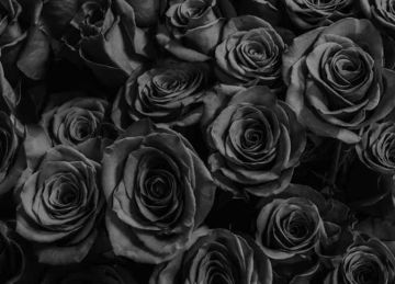 لماذا تحب اللون الأسود؟ تعرف على التأثير النفسي لاختيارك لماذا تحب اللون الأسود؟ تعرف على التأثير النفسي لاختيارك