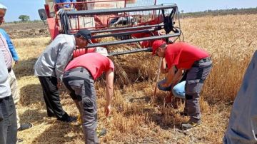 الزراعة: اختبار أحدث آلات الحصاد الذكي بالتعاون مع هيئة التعاون الدولي الإيطالية