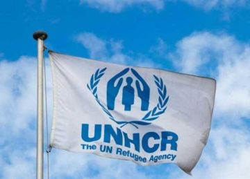 السودانيون في الصدارة.. أعداد طالبي اللجوء واللاجئين المسجلين بمصر تصل لـ958179 ألفا (تقرير) السودانيون في الصدارة.. أعداد طالبي اللجوء واللاجئين المسجلين بمصر تصل لـ958179 ألفا (تقرير)