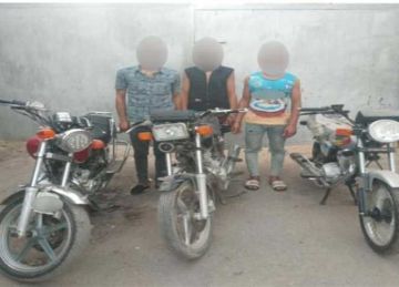 ضبط عاطل تخصص في سرقة الدراجات النارية في البساتين