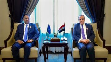 وزير الخارجية يؤكد دعم مصر الكامل لوحدة وسيادة الصومال الشقيق