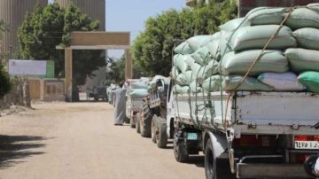 توريد 63 ألفا و639 طن قمح محلي لشون وصوامع البحيرة