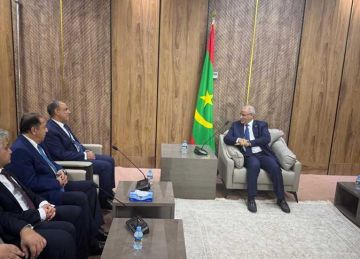 وزير الخارجية يؤكد دعم مصر لجهود موريتانيا في التصدي للإرهاب