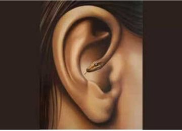 شوفتها ثعبان أم أذن؟.. اكتشف نفسك أكثر من خلال هذا الاختبار البصري