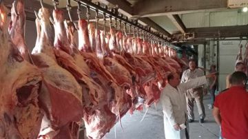 برلماني يطالب بحملات تفتيش مفاجئة لضبط الأسواق قبل عيد الأضحى