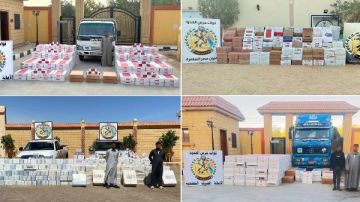 قوات حرس الحدود تضبط أسلحة وذخائر ومواد مخدرة تستهدف الأمن القومي قوات حرس الحدود تضبط أسلحة وذخائر ومواد مخدرة تستهدف الأمن القومي