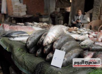 البوري بـ190 جنيها.. أسعار الأسماك والمأكولات البحرية بسوق العبور اليوم الثلاثاء (جملة)
