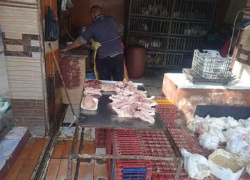 انخفاض في سعر الفراخ وتحرك في سعر البيض في اسواق المنيا انخفاض في سعر الفراخ وتحرك في سعر البيض في اسواق المنيا