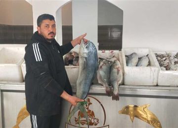 أسعار الأسماك في مرسى مطروح اليوم الاثنين 12 مايو 2025 أسعار الأسماك في مرسى مطروح اليوم الاثنين 12 مايو 2025