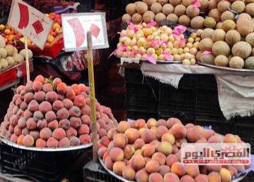  الجوافة بـ45 .. أسعار الفاكهة في أسواق الإسكندرية اليوم الخميس 15 مايو 2025