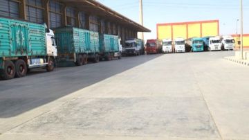 توريد 483670 طن قمح لشون وصوامع الشرقية