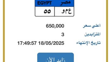 وصل سعرها لـ 650 ألف جنيه.. لوحة سيارة تحمل أحرف عمو في مزايدة وصل سعرها لـ 650 ألف جنيه.. لوحة سيارة تحمل أحرف عمو في مزايدة