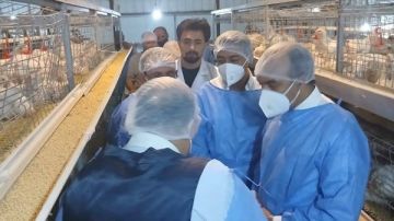  الزراعة تطلق حملات بيطرية وقائية لدعم المربين وتعزيز منظومة الإنتاج الداجني في 4 محافظات