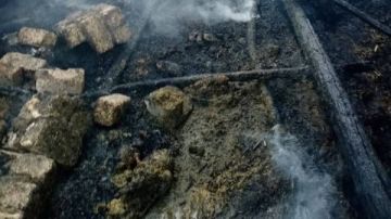 دون خسائر بشرية..نفوق مواشى فى حريق بنجع حمادى